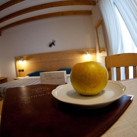 Willa Agritur Renetta Tassullo Zewnętrze zdjęcie